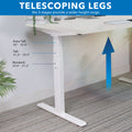 Mount It - Ultimate Dual Motor Electric Standing Desk with 55" Tabletop - White Base