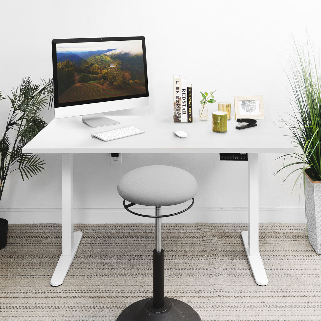 Mount It - Dual Motor Electric Standing Desk with 55" Tabletop - White Base